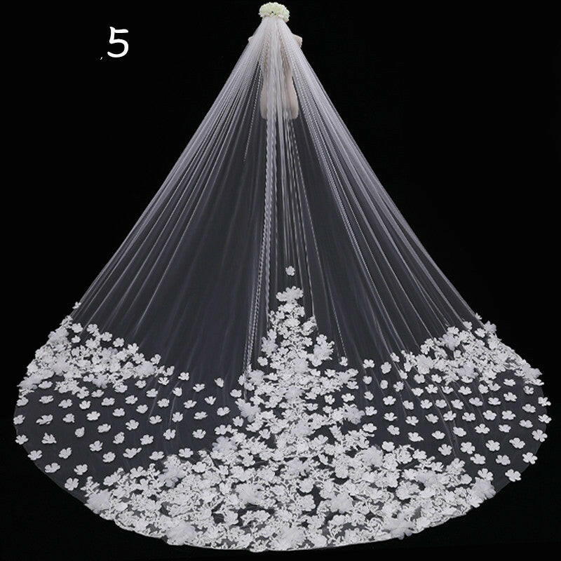 Bride Wedding Master Wedding Veil Long Long Tail.