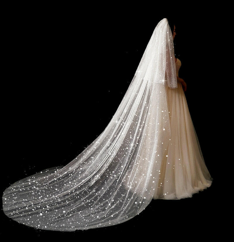 Bridal Wedding Dress Long Tail Luxury Super Fairy Wedding Veil.