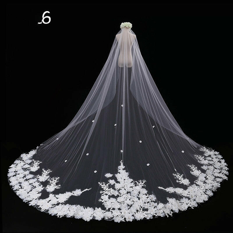 Bride Wedding Master Wedding Veil Long Long Tail.