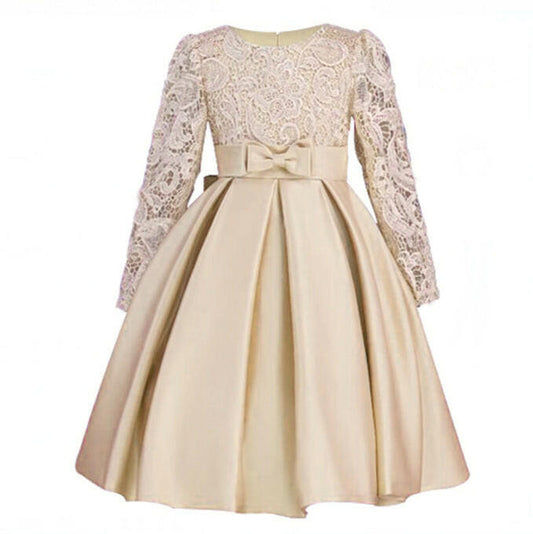 Carisa Europe and America autumn and winter children's dress princess dress long sleeve flower girl dress female purple lace costumes wholesale.